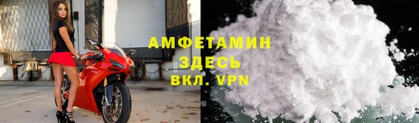 гидра Абаза