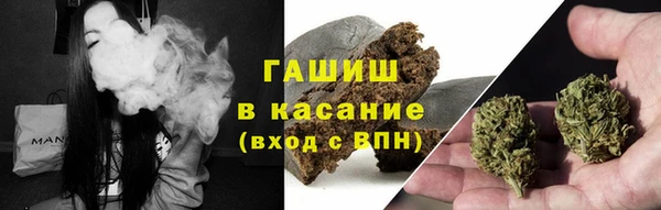 гидра Абаза