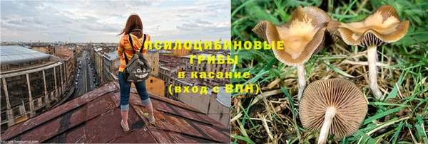 гидра Абаза