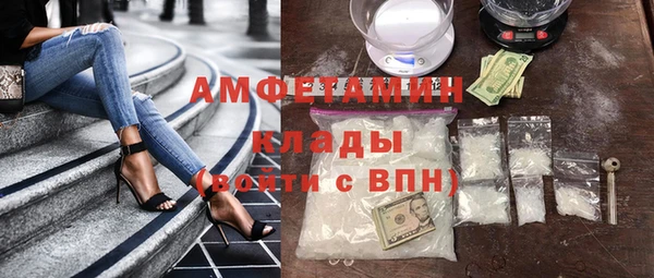 гидра Абаза