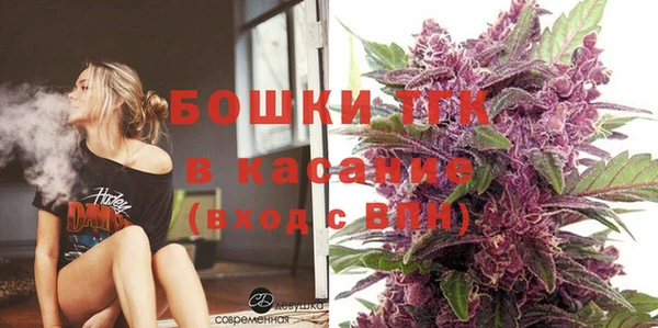гидра Абаза