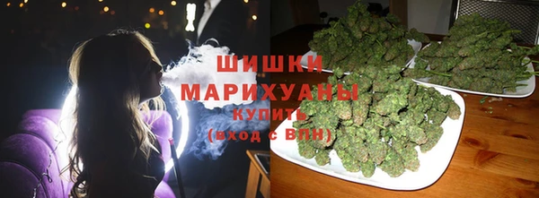 гидра Абаза